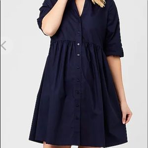 Ripe Maternity Paige Poplin Dress